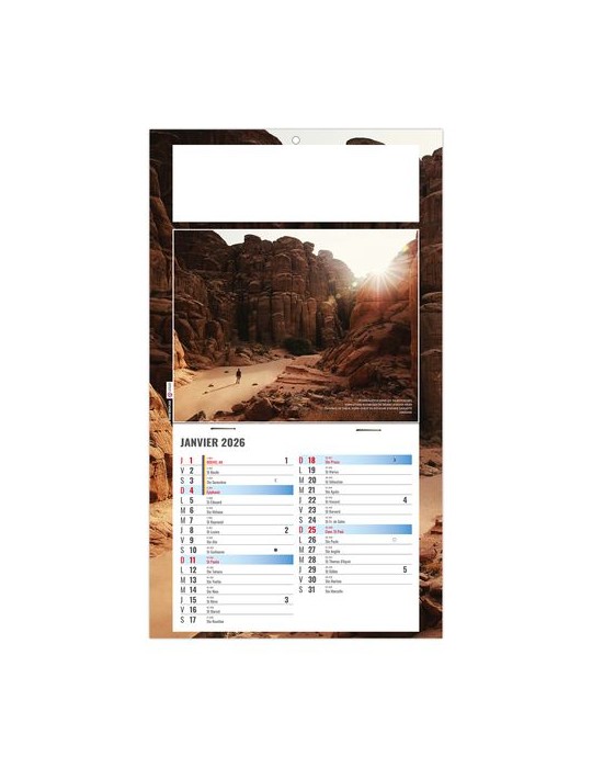 PLAQUE 1 VUE ESTEBAN 2026 - DOS CARTON - BLOC B2 - SANS MARQUAGE