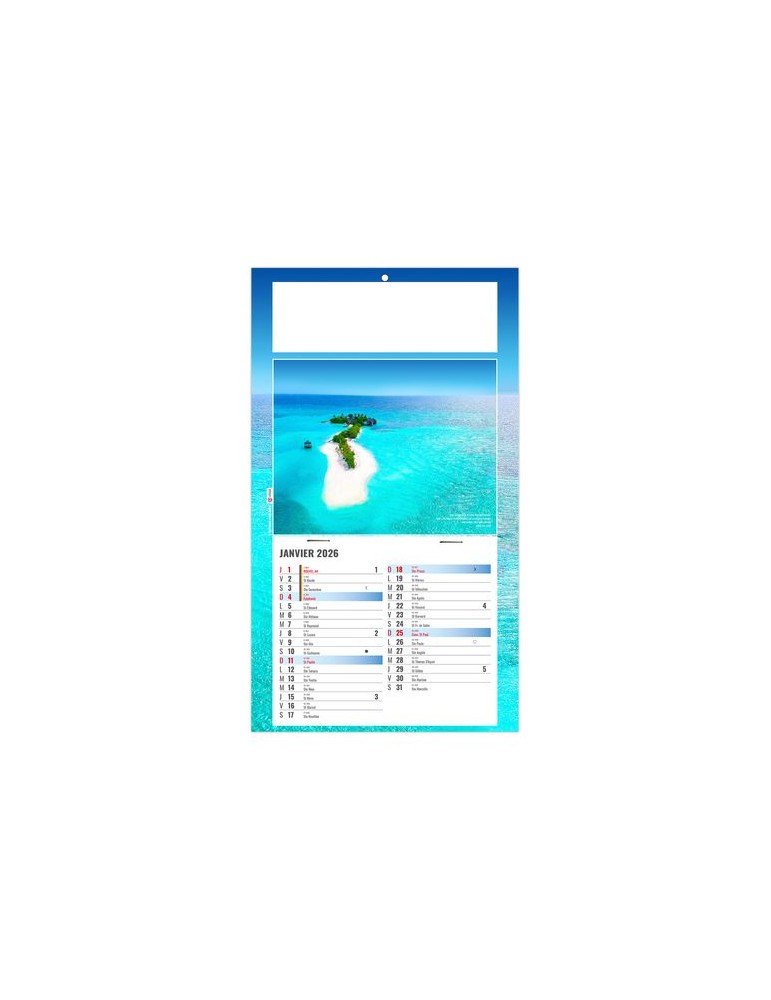 PLAQUE 1 VUE ESTEBAN 2026 - DOS CARTON - BLOC B2 - SANS MARQUAGE