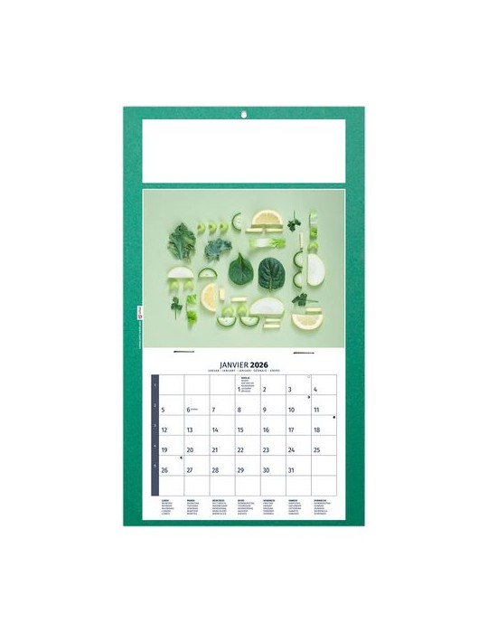 PLAQUE 1 VUE DIET 2026 - DOS CARTON - BLOC B2 - SANS MARQUAGE