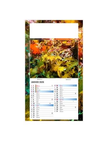 PLAQUE 1 VUE JULIETTA 2026 - DOS CARTON - EURO BLOC - SANS MARQUAGE