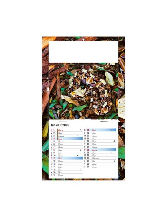 PLAQUE 1 VUE JULIETTA 2026 - DOS CARTON - EURO BLOC - SANS MARQUAGE