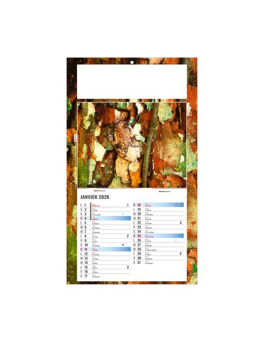 PLAQUE 1 VUE JULIETTA 2026 - DOS CARTON - EURO BLOC - SANS MARQUAGE