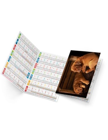 FIDELE 2026 - NEUTRE 1 POSE 2