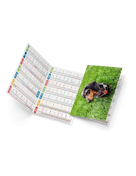 FIDELE 2026 - NEUTRE 1 POSE