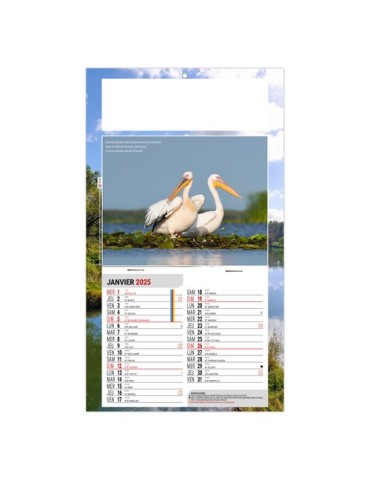 PLAQUE 1 VUE LEO 2026 - DOS CARTON - EURO BLOC - SANS MARQUAGE