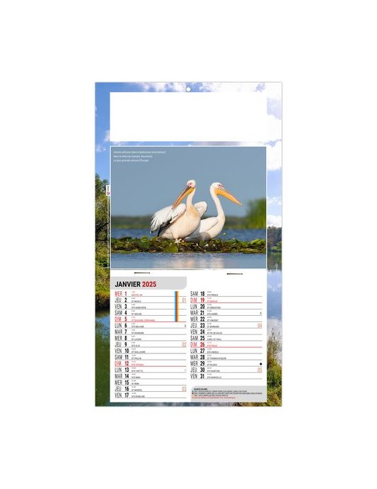 PLAQUE 1 VUE LEO 2026 - DOS CARTON - EURO BLOC - SANS MARQUAGE