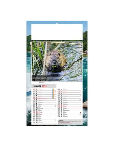 PLAQUE 1 VUE LEO 2026 - DOS CARTON - EURO BLOC - SANS MARQUAGE 2