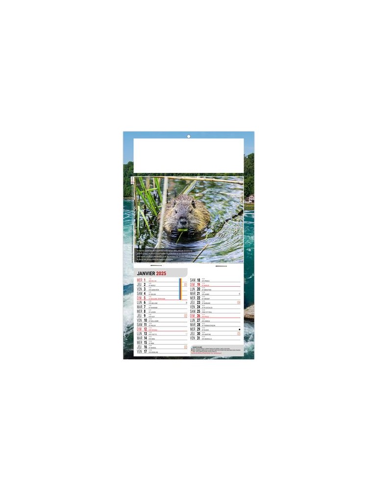 PLAQUE 1 VUE LEO 2026 - DOS CARTON - EURO BLOC - SANS MARQUAGE