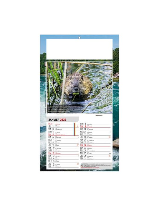 PLAQUE 1 VUE LEO 2026 - DOS CARTON - EURO BLOC - SANS MARQUAGE