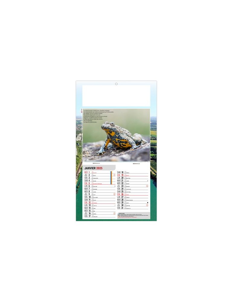 PLAQUE 1 VUE LEO 2026 - DOS CARTON - EURO BLOC - SANS MARQUAGE