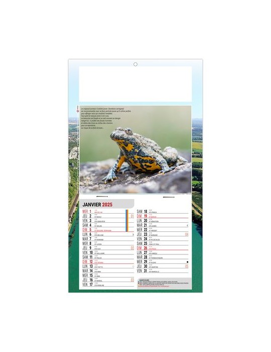 PLAQUE 1 VUE LEO 2026 - DOS CARTON - EURO BLOC - SANS MARQUAGE