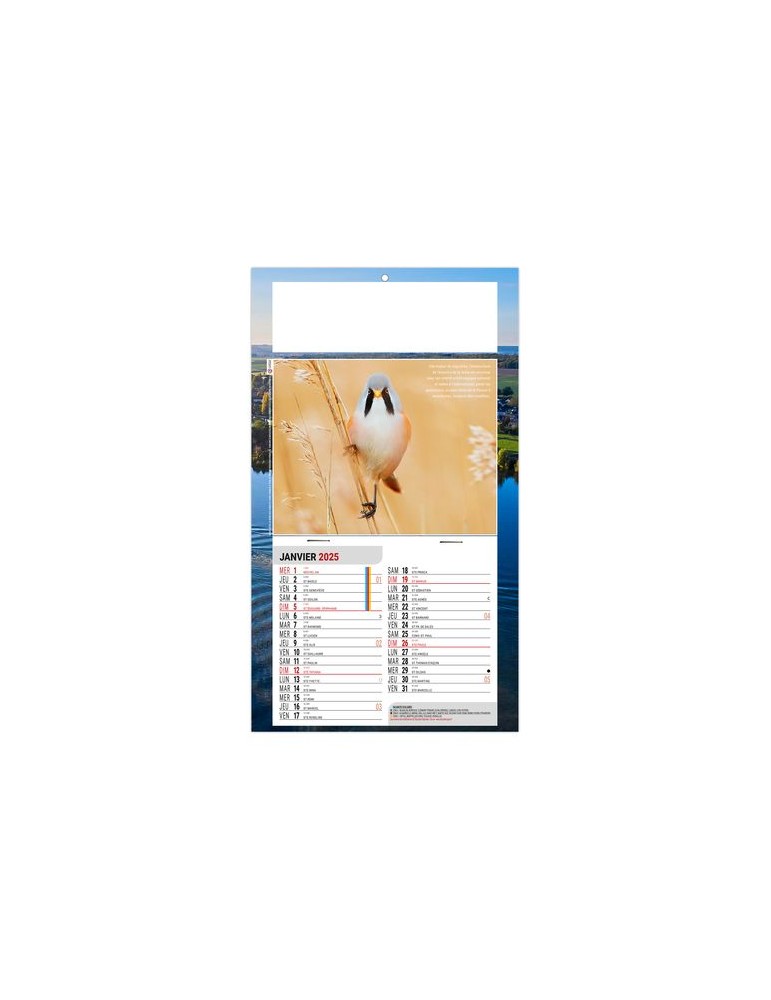 PLAQUE 1 VUE LEO 2026 - DOS CARTON - EURO BLOC - SANS MARQUAGE