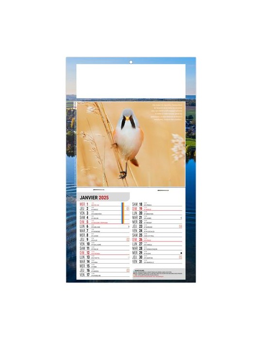 PLAQUE 1 VUE LEO 2026 - DOS CARTON - EURO BLOC - SANS MARQUAGE