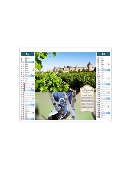 2EN1 - TERROIR 2026 - XXL 474 x 700 mm - MARQUAGE 1 COULEUR