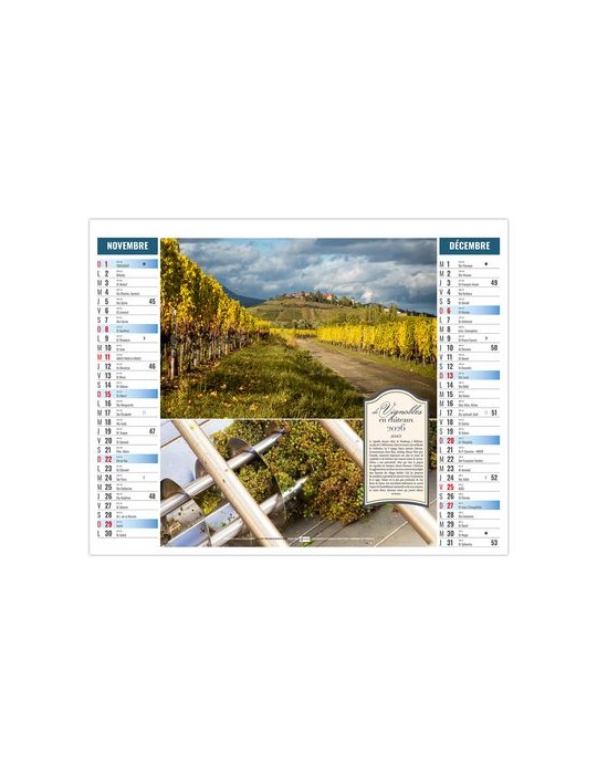 2EN1 - TERROIR 2026 - XXL 474 x 700 mm - MARQUAGE 1 COULEUR