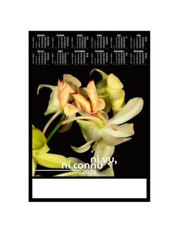 POSTER - DISSIMULE 2026 - QUADRI