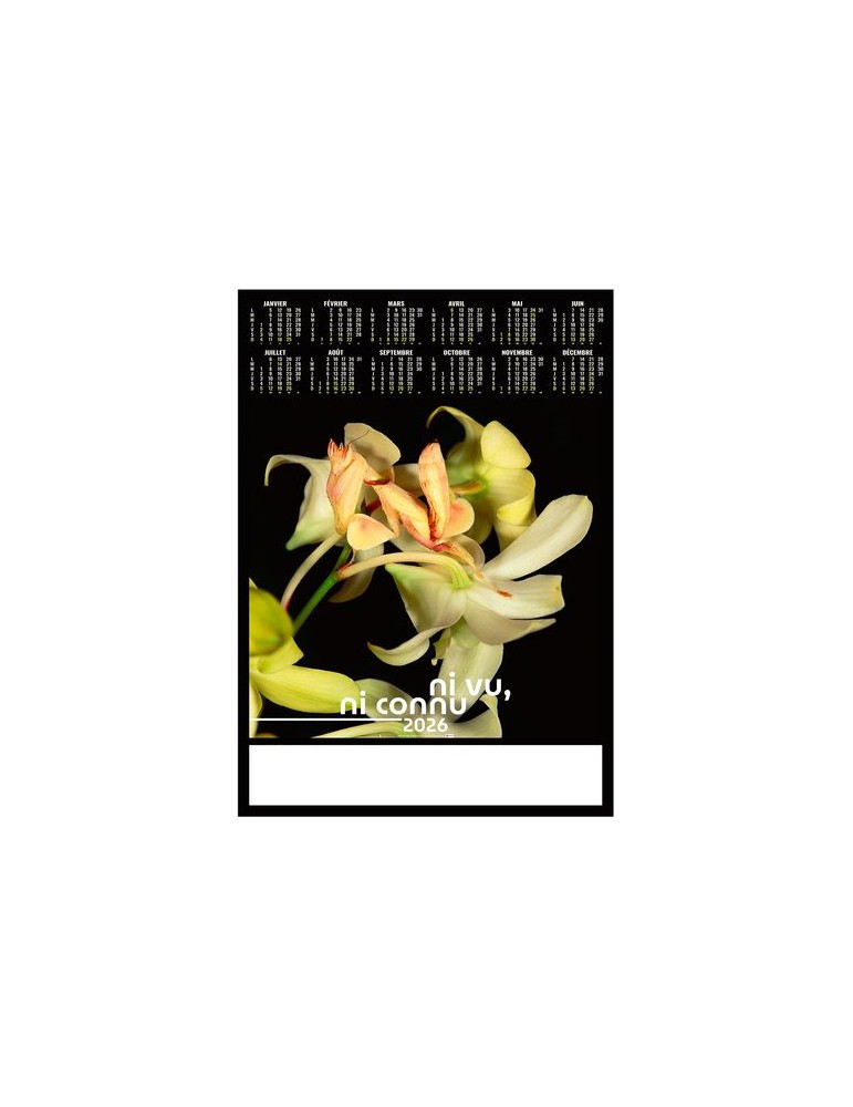 POSTER - DISSIMULE 2026 - QUADRI