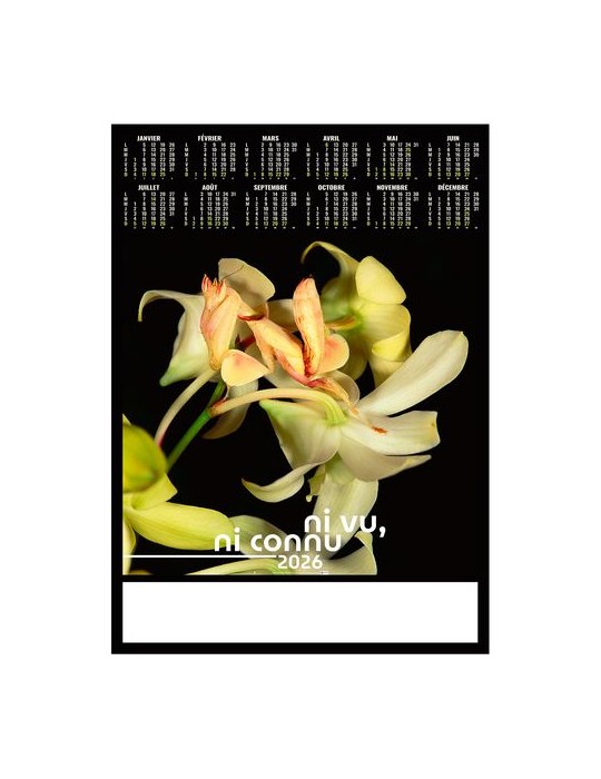 POSTER - DISSIMULE 2026 - QUADRI