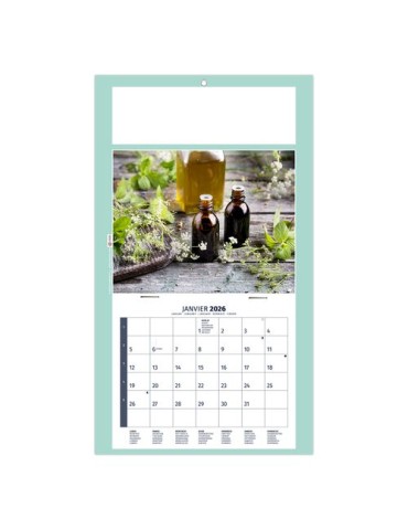 PLAQUE 1 VUE HOMEO 2026 - DOS CARTON - EURO BLOC - SANS MARQUAGE