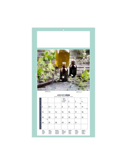 PLAQUE 1 VUE HOMEO 2026 - DOS CARTON - EURO BLOC - SANS MARQUAGE