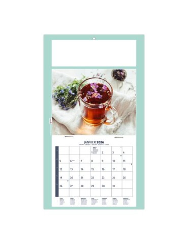 PLAQUE 1 VUE HOMEO 2026 - DOS CARTON - EURO BLOC - SANS MARQUAGE 2