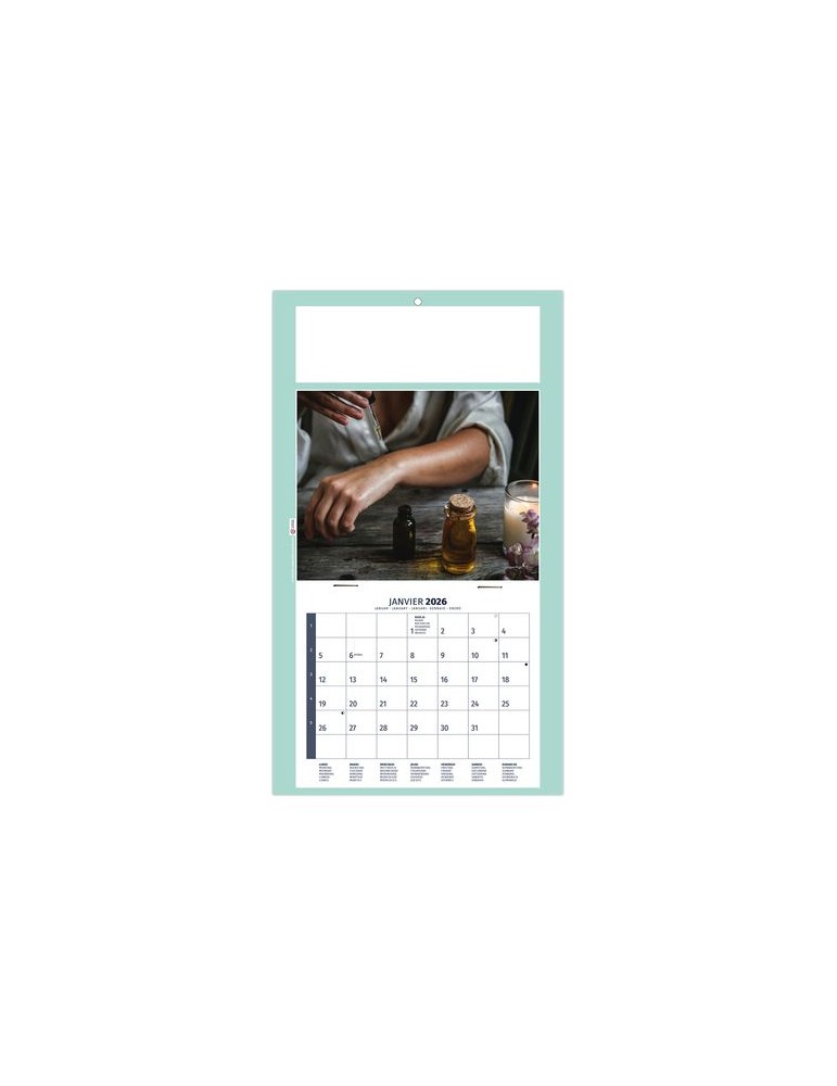 PLAQUE 1 VUE HOMEO 2026 - DOS CARTON - EURO BLOC - SANS MARQUAGE