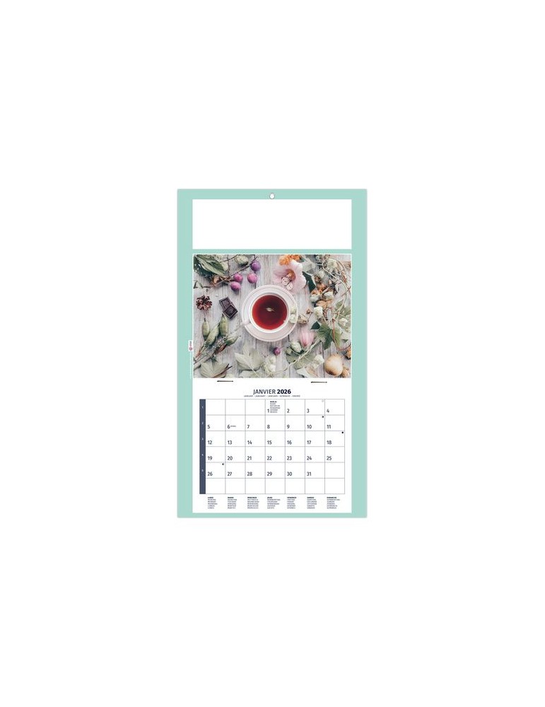 PLAQUE 1 VUE HOMEO 2026 - DOS CARTON - EURO BLOC - SANS MARQUAGE