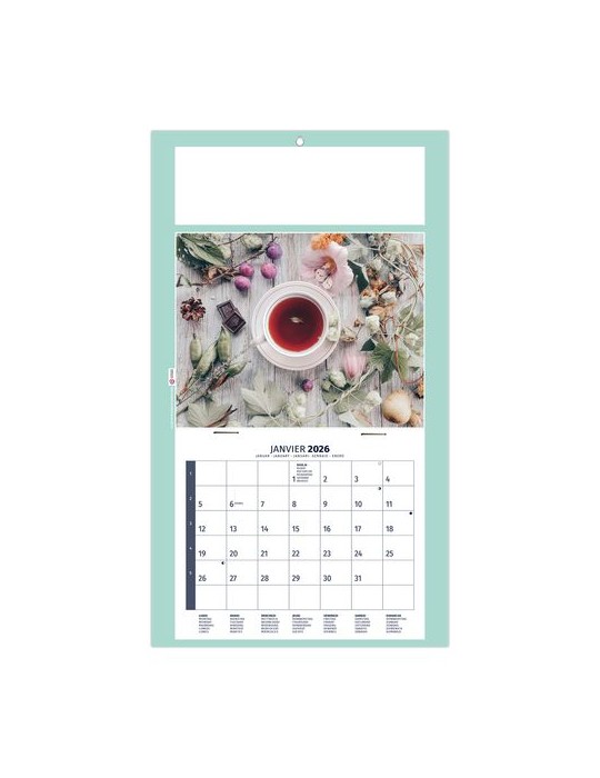 PLAQUE 1 VUE HOMEO 2026 - DOS CARTON - EURO BLOC - SANS MARQUAGE