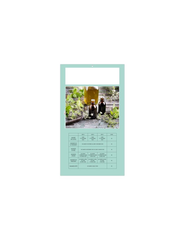 PLAQUE 1 VUE HOMEO 2026 - DOS CARTON - EURO BLOC - SANS MARQUAGE