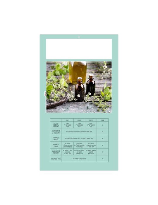 PLAQUE 1 VUE HOMEO 2026 - DOS CARTON - EURO BLOC - SANS MARQUAGE