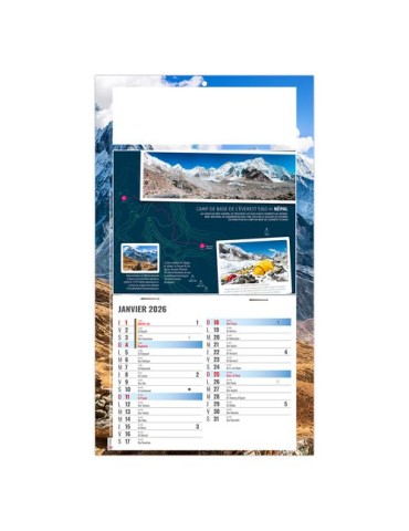 PLAQUE 1 VUE TONY 2026 - DOS CARTON - BLOC B2 - SANS MARQUAGE 2