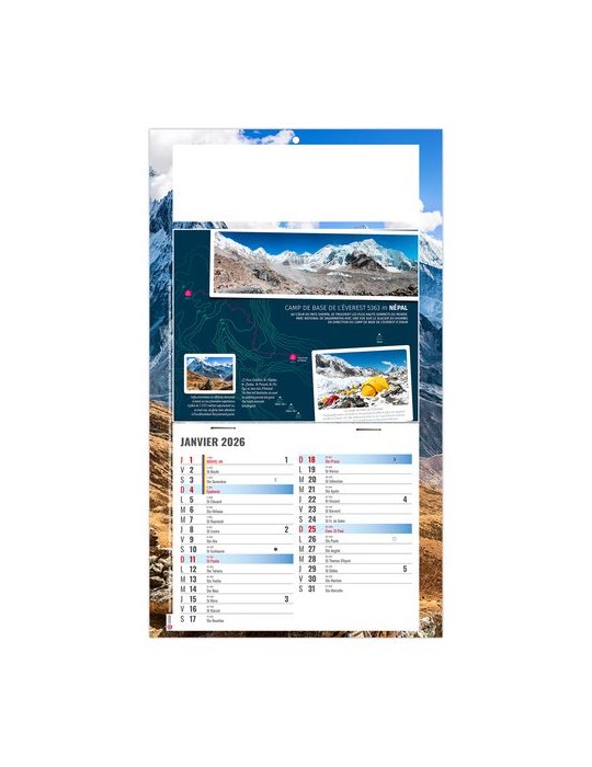 PLAQUE 1 VUE TONY 2026 - DOS CARTON - BLOC B2 - SANS MARQUAGE