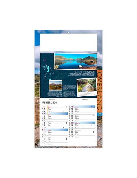 PLAQUE 1 VUE TONY 2026 - DOS CARTON - BLOC B2 - SANS MARQUAGE