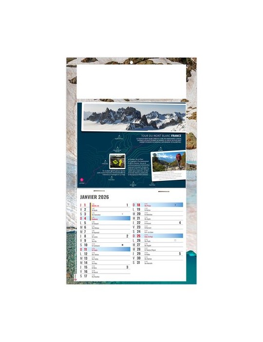 PLAQUE 1 VUE TONY 2026 - DOS CARTON - BLOC B2 - SANS MARQUAGE