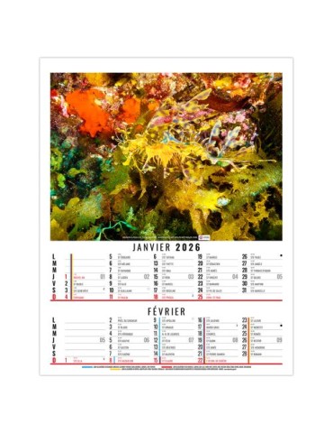 ANNA 2026 - 6 FEUILLETS - BLOC SEUL SANS MARQUAGE 2