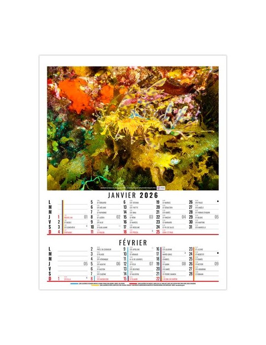 ANNA 2026 - 6 FEUILLETS - BLOC SEUL SANS MARQUAGE