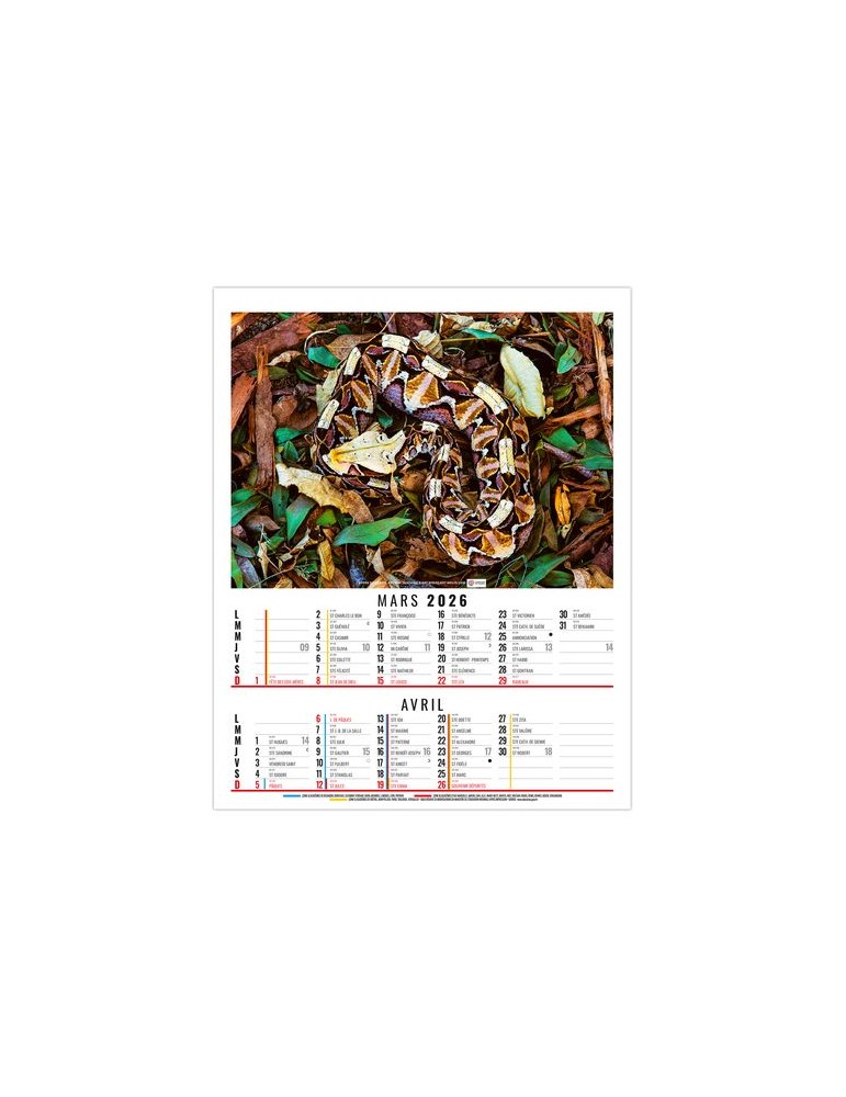 ANNA 2026 - 6 FEUILLETS - BLOC SEUL SANS MARQUAGE