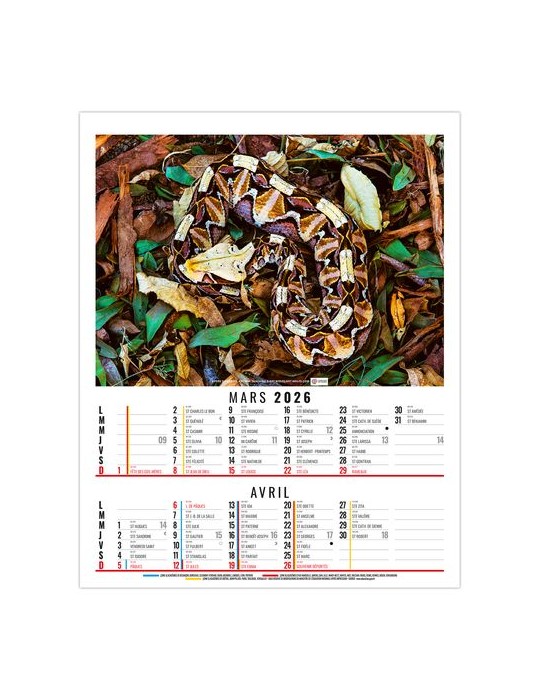 ANNA 2026 - 6 FEUILLETS - BLOC SEUL SANS MARQUAGE