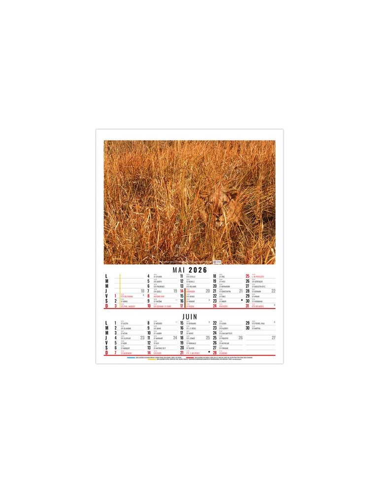 ANNA 2026 - 6 FEUILLETS - BLOC SEUL SANS MARQUAGE