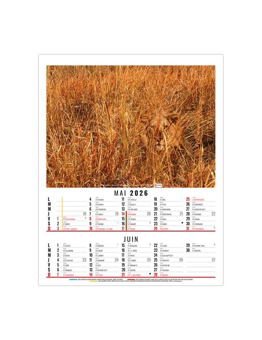 ANNA 2026 - 6 FEUILLETS - BLOC SEUL SANS MARQUAGE