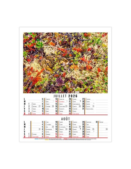 ANNA 2026 - 6 FEUILLETS - BLOC SEUL SANS MARQUAGE