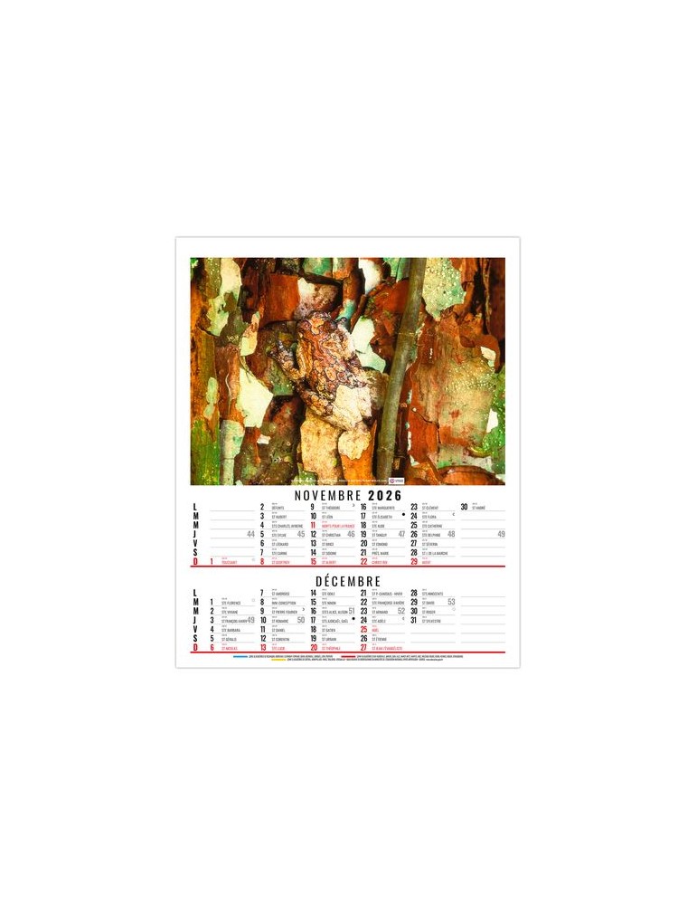 ANNA 2026 - 6 FEUILLETS - BLOC SEUL SANS MARQUAGE