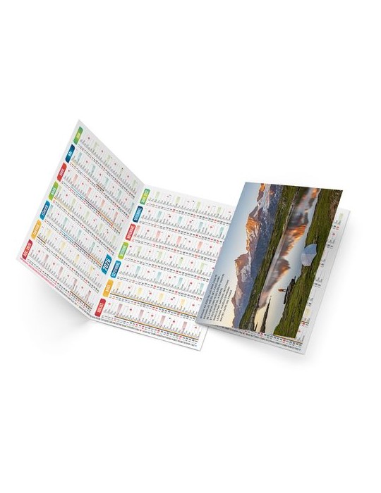 DORIAN 2026 - NEUTRE 1 POSE