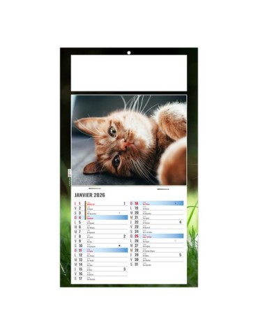 PLAQUE 1 VUE CESAR 2026 - DOS CARTON - BLOC B2 - SANS MARQUAGE