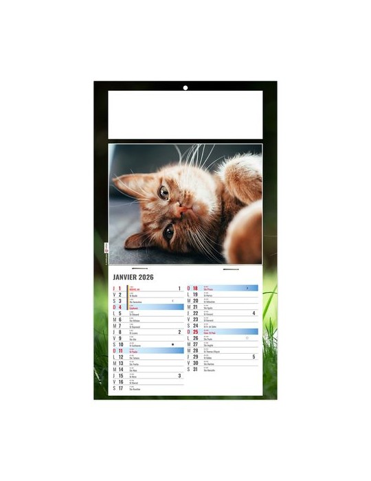 PLAQUE 1 VUE CESAR 2026 - DOS CARTON - BLOC B2 - SANS MARQUAGE