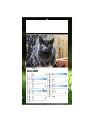 PLAQUE 1 VUE CESAR 2026 - DOS CARTON - BLOC B2 - SANS MARQUAGE 2