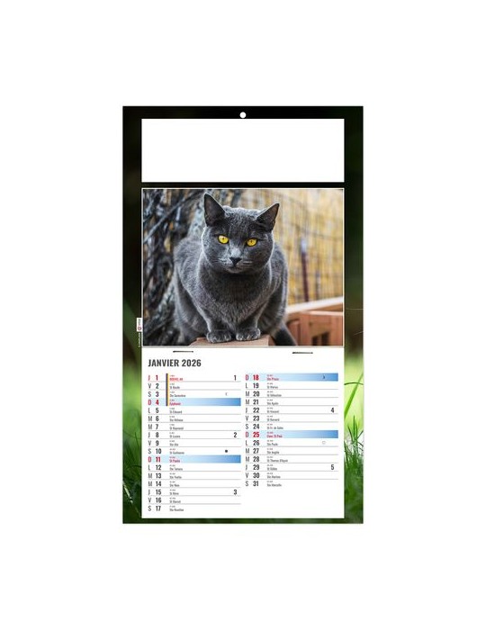 PLAQUE 1 VUE CESAR 2026 - DOS CARTON - BLOC B2 - SANS MARQUAGE