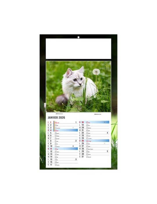 PLAQUE 1 VUE CESAR 2026 - DOS CARTON - BLOC B2 - SANS MARQUAGE