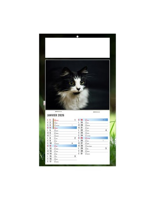 PLAQUE 1 VUE CESAR 2026 - DOS CARTON - BLOC B2 - SANS MARQUAGE