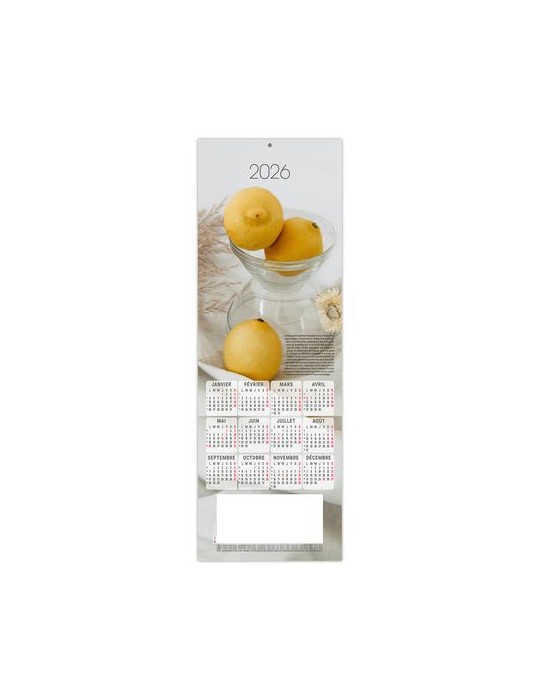 ESTAMPE - SILENE 2026 - CARRE 325 X 350 mm - QUADRI